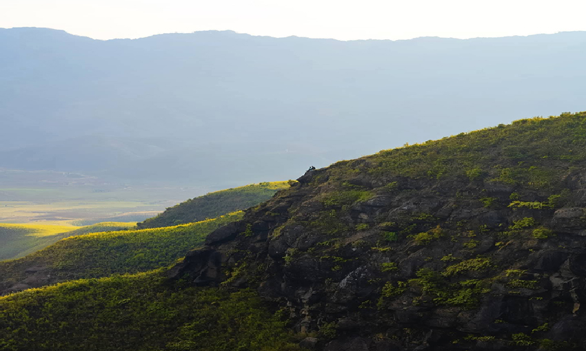 ESG Management & Advisory