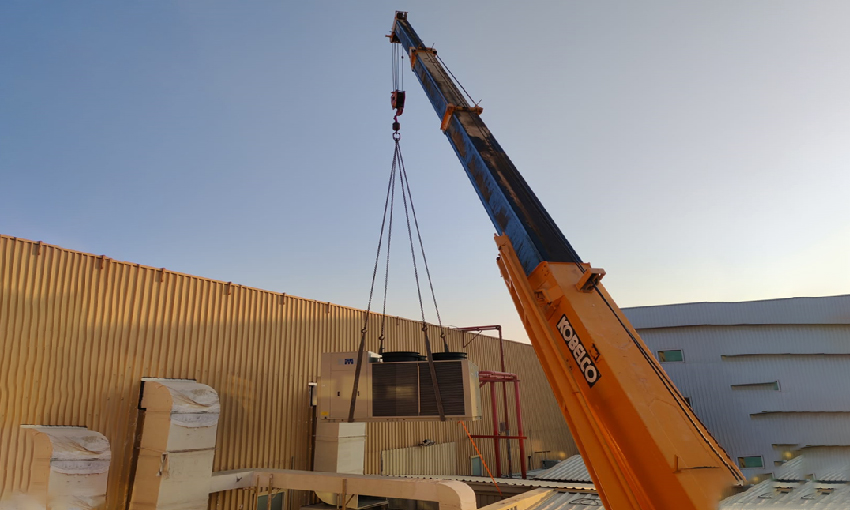 Decarbonization & Net Zero