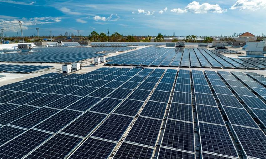 Renewable Energy & Low-Carbon Solutions